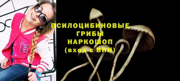 ALPHA-PVP Алексеевка