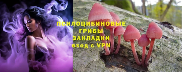 а пвп мука Алзамай