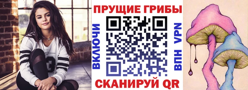 где купить наркоту  Карасук  Псилоцибиновые грибы Psilocybine cubensis 